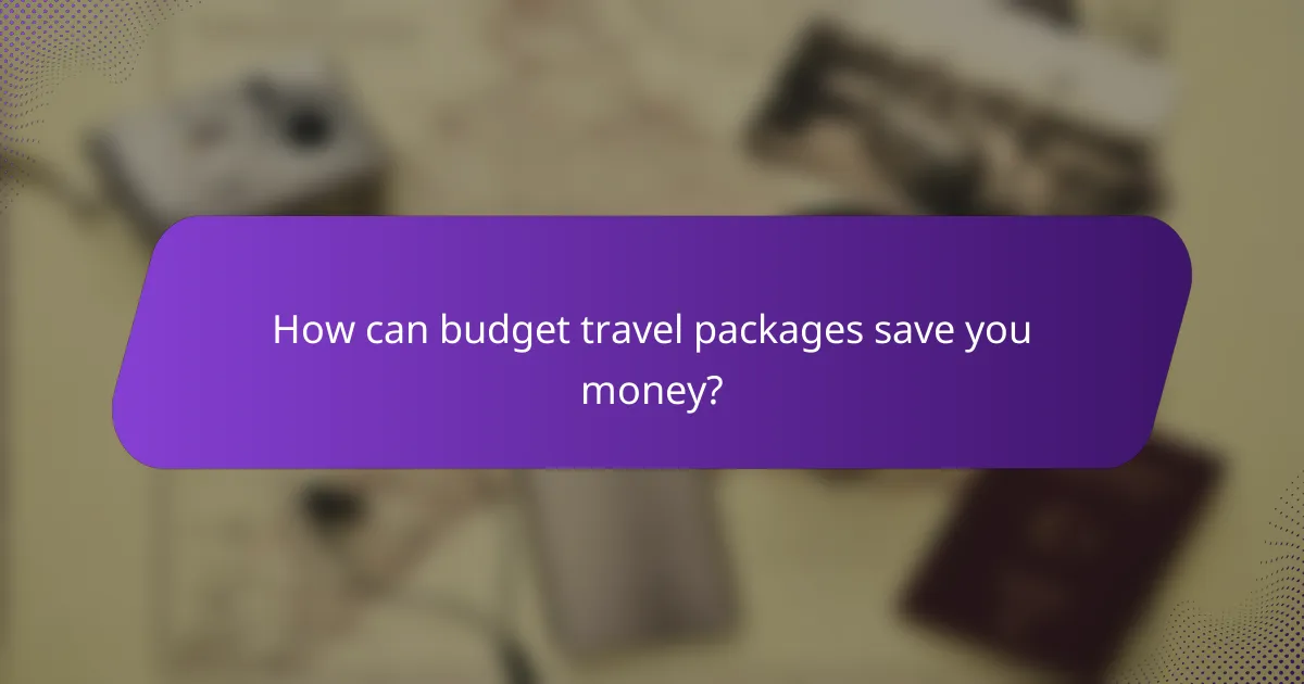 How can budget travel packages save you money?