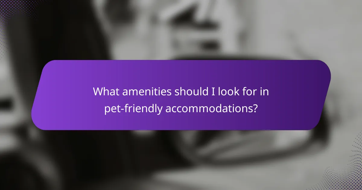 What amenities should I look for in pet-friendly accommodations?