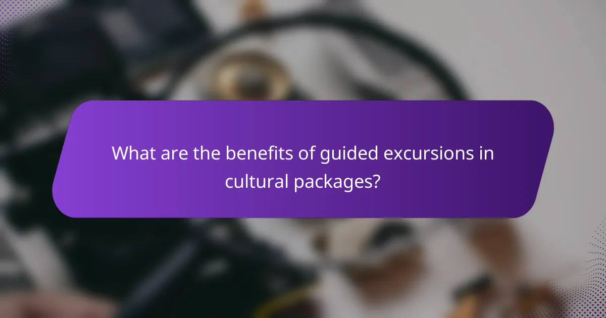 What are the benefits of guided excursions in cultural packages?