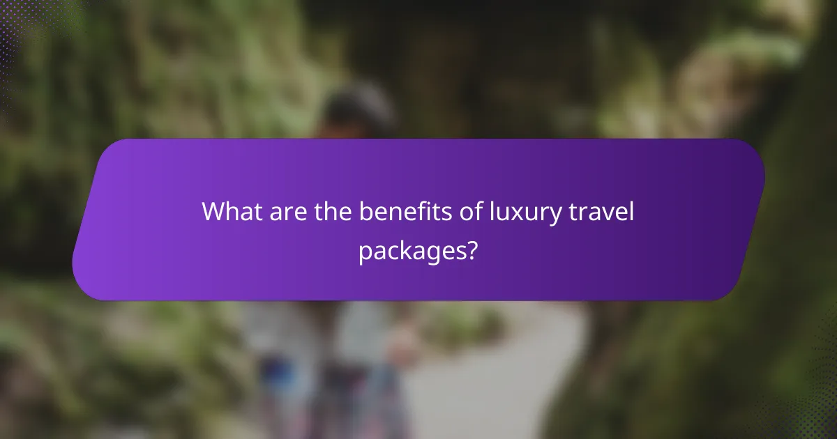 What are the benefits of luxury travel packages?