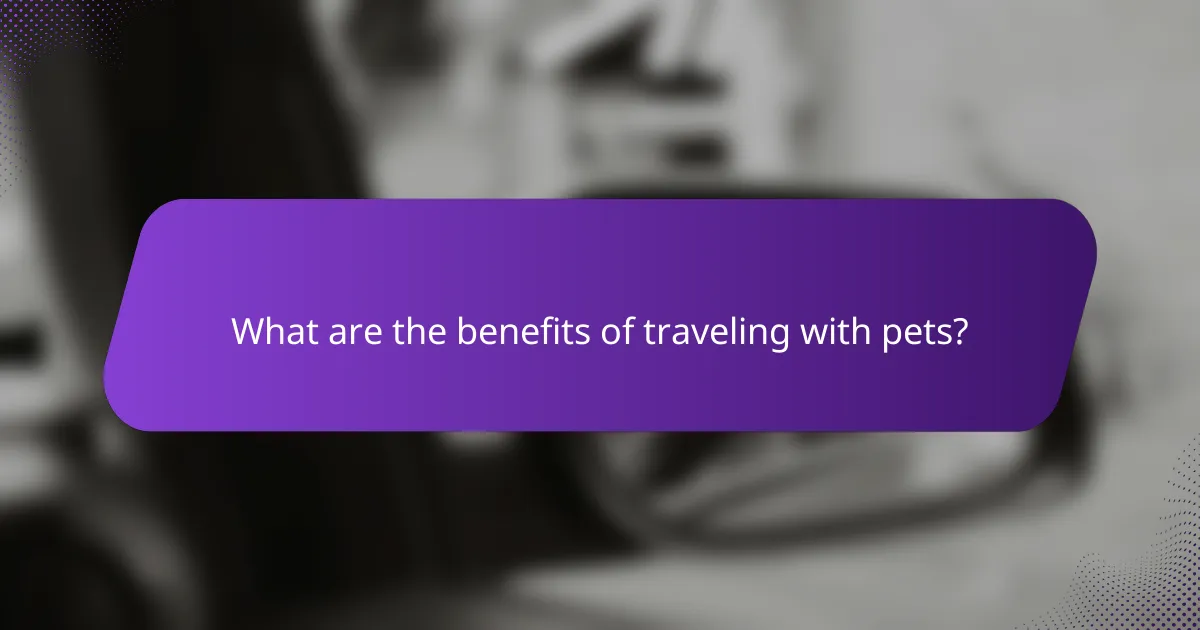 What are the benefits of traveling with pets?
