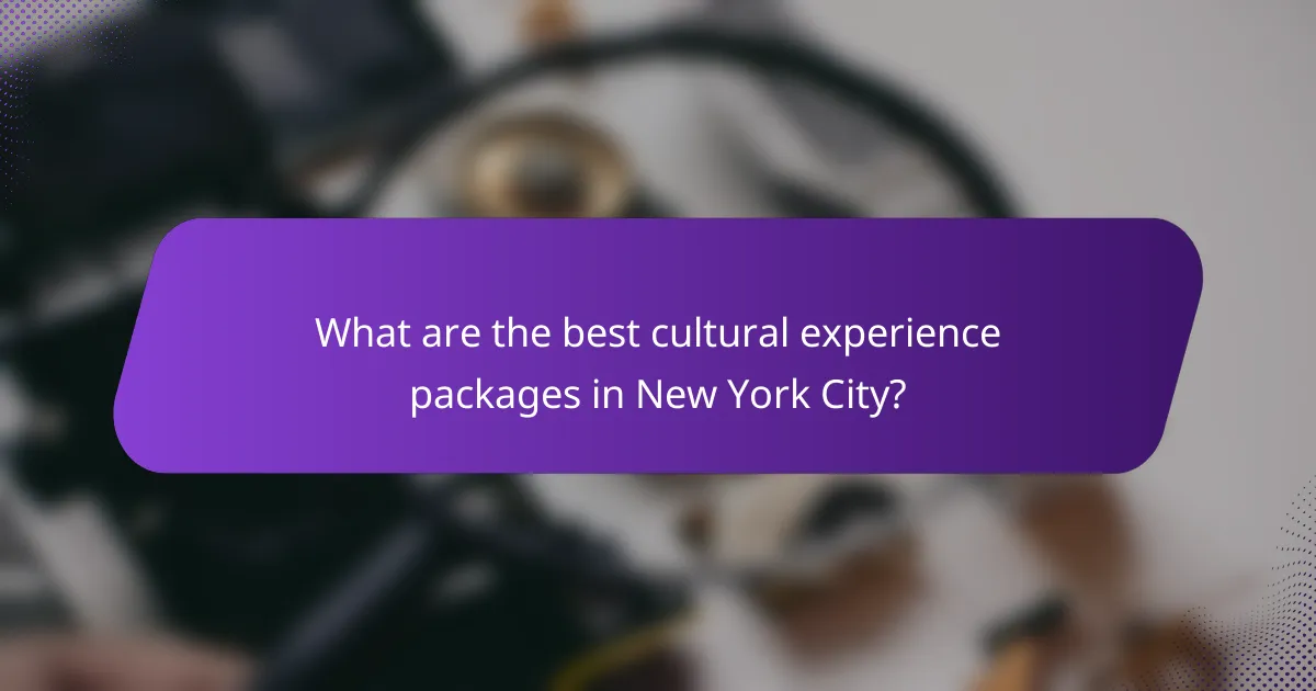 What are the best cultural experience packages in New York City?