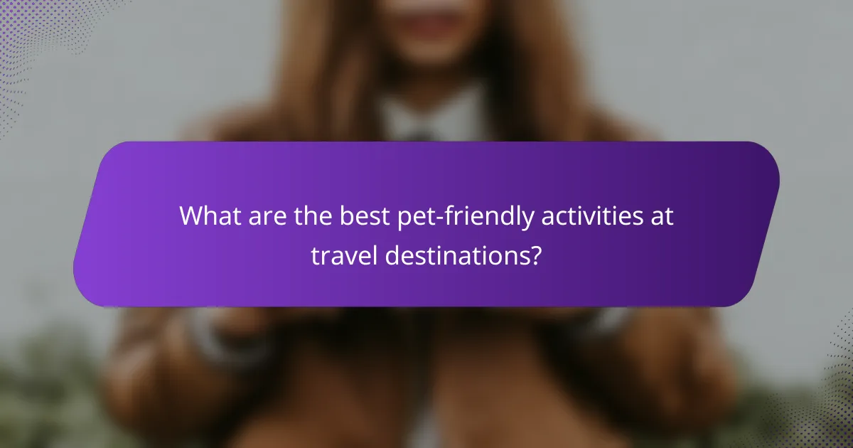 What are the best pet-friendly activities at travel destinations?