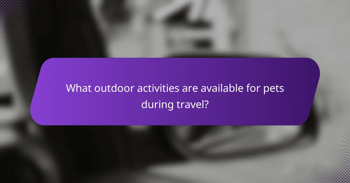 What outdoor activities are available for pets during travel?